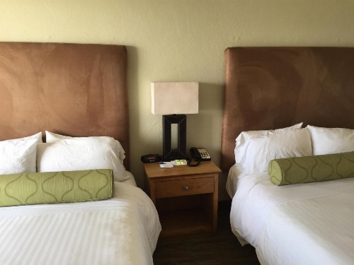 Surfer Beach Hotel image 34
