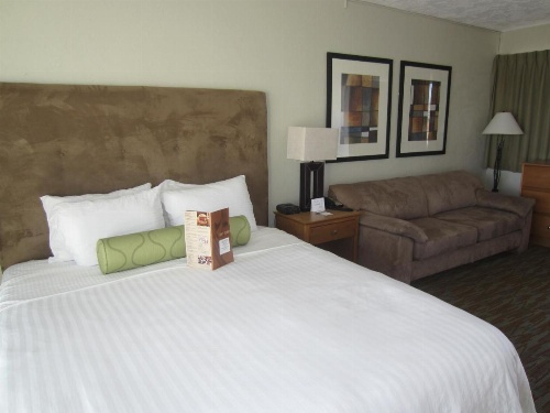 Surfer Beach Hotel image 50